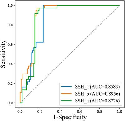 SSH2.0: A Better Tool for Predicting the Hydrophobic Interaction Risk of Monoclonal Antibody